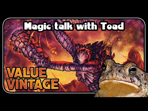 Zoobin’ into the New Year B) || 30$ Value Vintage || Magic Talk with Toad